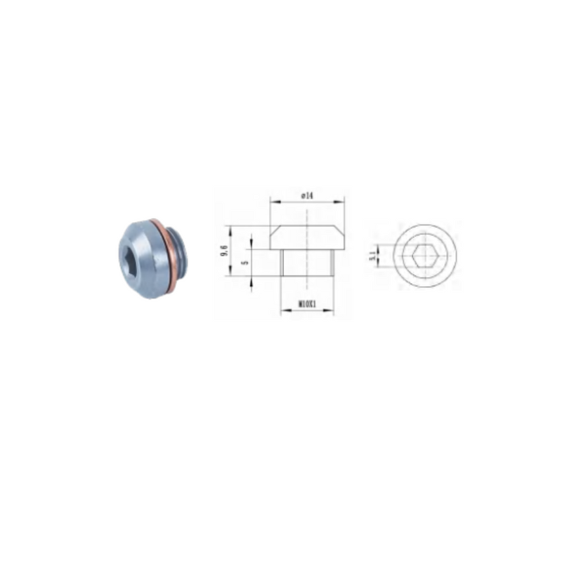 Closure Plug M10